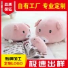 Yiwu quality products Factory direct sales of plush toys, cushions, cartoon pink pigs, pillows, cushions, plush toys, and girls' gifts customization -1006/35011 details Picture